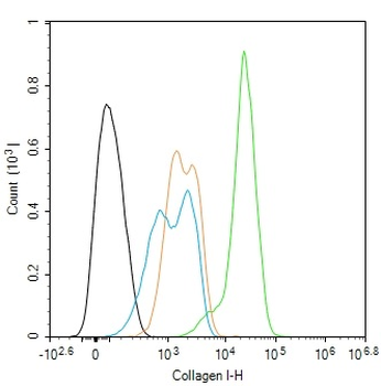 Collagen I Rabbit Polyclonal Antibody