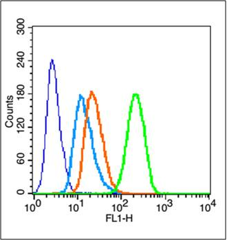 Phospho-CDKN1B (Ser10) Rabbit Polyclonal Antibody