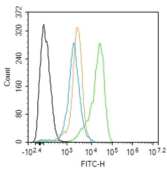Phospho-DNM1L (Ser616) Rabbit Polyclonal Antibody