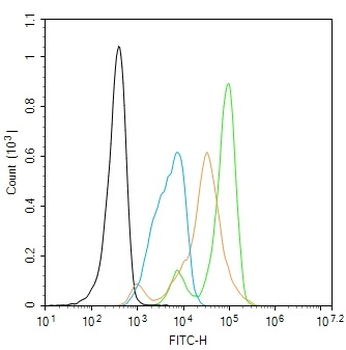 Phospho-PDCD4 (Ser67) Rabbit Polyclonal Antibody