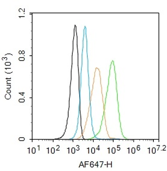 ADRB1 Rabbit Polyclonal Antibody