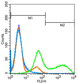RANK Rabbit Polyclonal Antibody