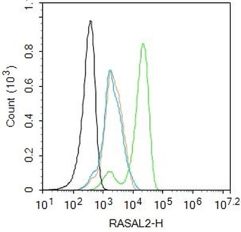 RASAL2 antibody