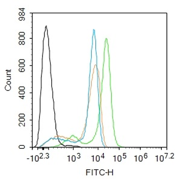 SLC25A11 Rabbit Polyclonal Antibody