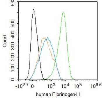 Human Fibrinogen anitbody antibody
