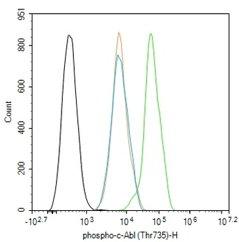 Phospho-c-Abl (Thr735) Rabbit Polyclonal Antibody