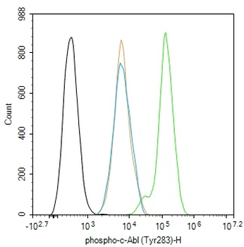 Phospho-c-Abl (Tyr283) Rabbit Polyclonal Antibody