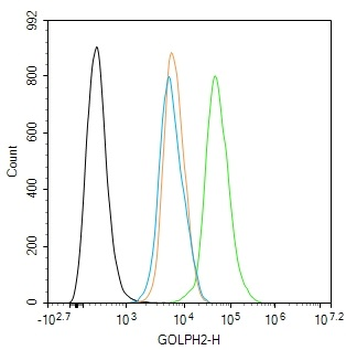 GOLPH2 Rabbit Polyclonal Antibody