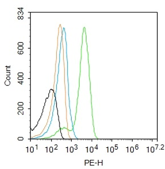BNIP3 Rabbit Polyclonal Antibody