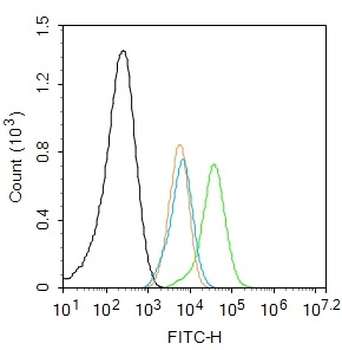 Phospho-Bcl-2 (Thr129) Rabbit Polyclonal Antibody