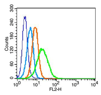 SIRP Alpha Rabbit Polyclonal Antibody