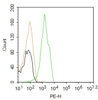 CX3CR1 Rabbit Polyclonal Antibody (PE)