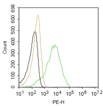 C-Kit/CD117 Rabbit Polyclonal Antibody (PE)
