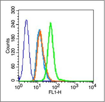 GPR30 Rabbit Polyclonal Antibody