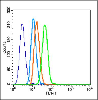 HIF-1 Alpha Rabbit Polyclonal Antibody