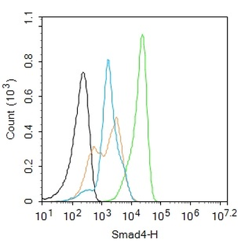 Smad4 Recombinant Rabbit Monoclonal Antibody