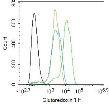 Glutaredoxin 1 antibody