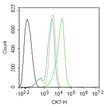 CK7 Mouse Monoclonal Antibody