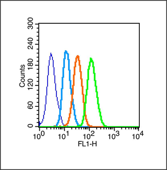 PKC delta Rabbit Polyclonal Antibody