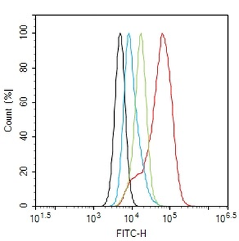 IRS-2 Rabbit Polyclonal Antibody