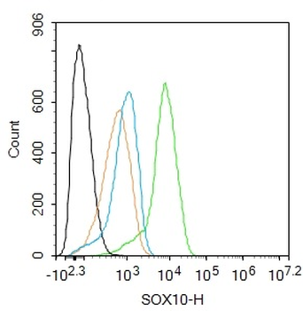 SOX10 Rabbit Polyclonal Antibody