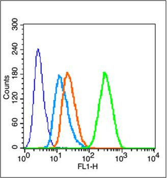 Caspase-1 P10 Rabbit Polyclonal Antibody