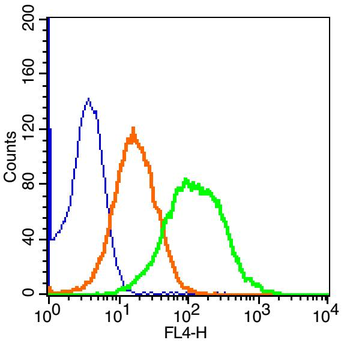 TUBB3 (Neuronal Marker) Rabbit Polyclonal Antibody