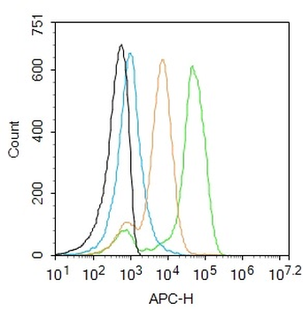 IDO1 Rabbit Polyclonal Antibody