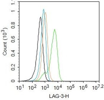 LAG3 antibody