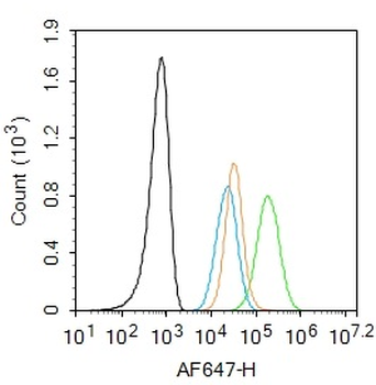 CD11c Rabbit Polyclonal Antibody