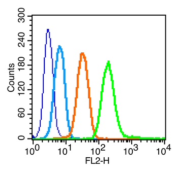 KIT Rabbit Polyclonal Antibody