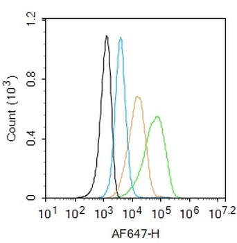 ADRB1 Rabbit Polyclonal Antibody