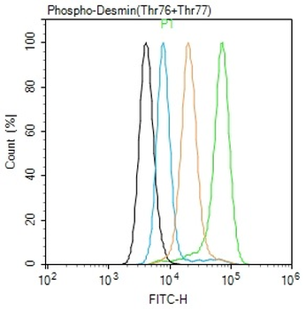 Phospho-Desmin (Thr76 + Thr77) Rabbit Polyclonal Antibody