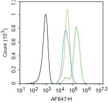FAK (phospho-Ser722) antibody