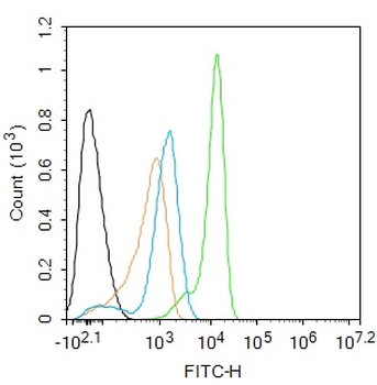 Phospho-MSK1 (Ser376) Recombinant Rabbit Monoclonal Antibody