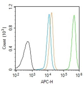 Phospho-H2AX (Tyr143) Rabbit Polyclonal Antibody