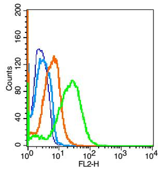 IL-22 Rabbit Polyclonal Antibody