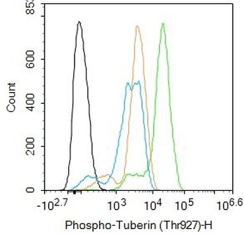 Tuberin (phospho-Tyr320) antibody