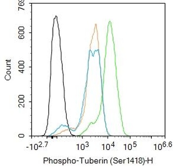 Tuberin (phospho-Ser1418) antibody
