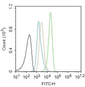 Histone H2B Recombinant Rabbit Monoclonal Antibody