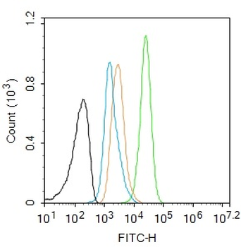 STAT3 Recombinant Rabbit Monoclonal Antibody