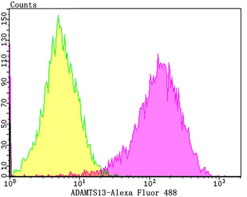 ADAMTS13 Recombinant Rabbit Monoclonal Antibody