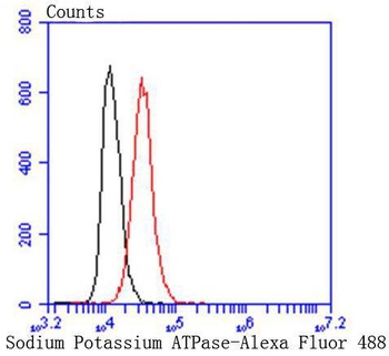 Sodium Potassium ATPase antibody