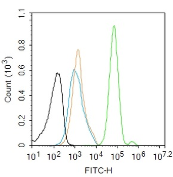 Phospho-HSF1 (Ser326) Recombinant Rabbit Monoclonal Antibody