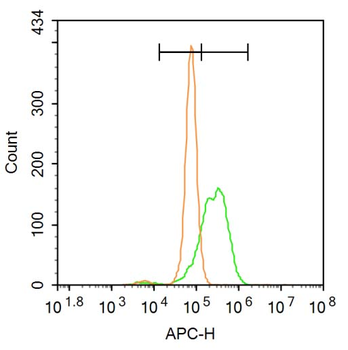 SMURF2 Rabbit Polyclonal Antibody