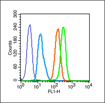 Caveolin-3 Rabbit Polyclonal Antibody