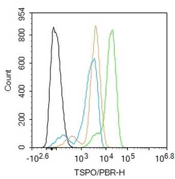 TSPO/PBR Rabbit Polyclonal Antibody