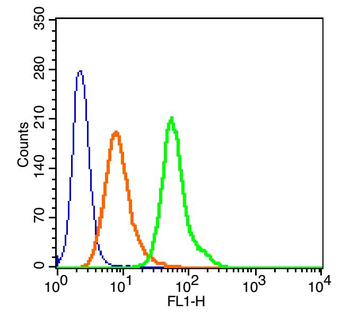 Phospho-c-Fos (Thr325) Rabbit Polyclonal Antibody