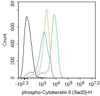 CK8 (phospho-Ser23) antibody