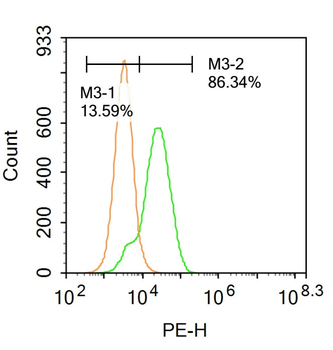 CK10 Rabbit Polyclonal Antibody